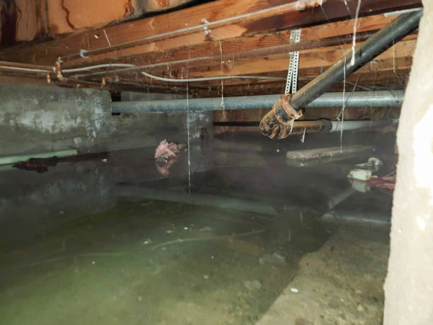 Best Fire Damage Restoration  in Catoosa, OK