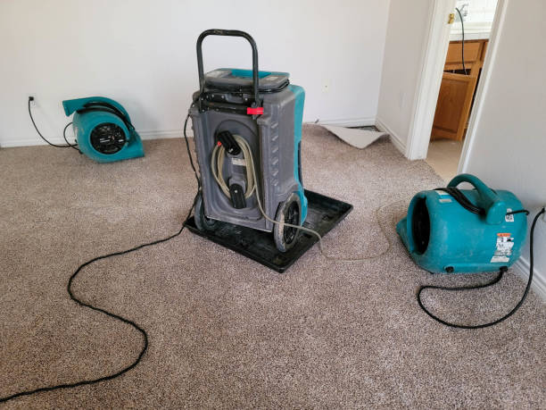 Best Mold removal after water damage  in Catoosa, OK