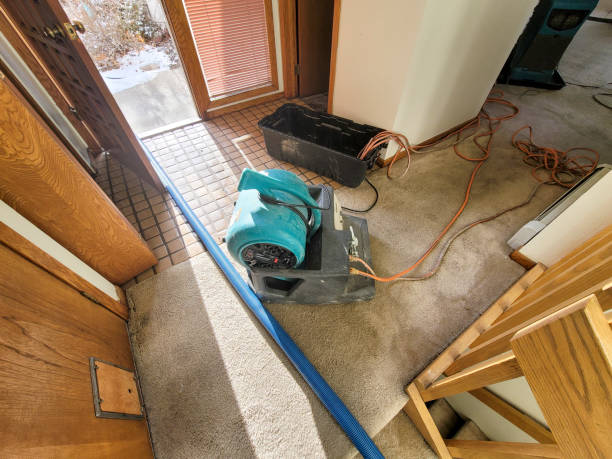 Best Water damage repair service  in Catoosa, OK