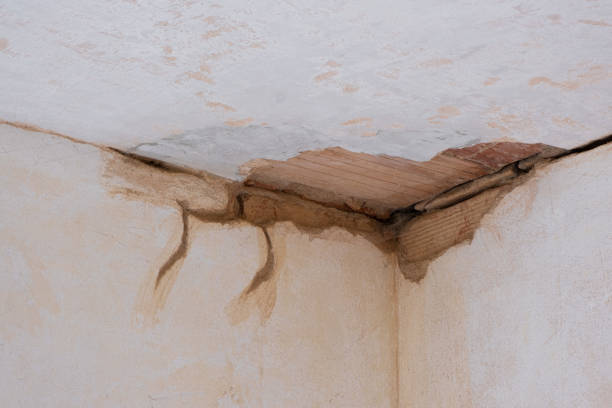 Best Ceiling water damage repair  in Catoosa, OK