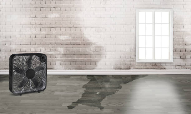 Best Carpet water damage restoration  in Catoosa, OK