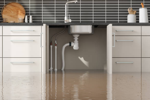 Best Professional water damage repair  in Catoosa, OK